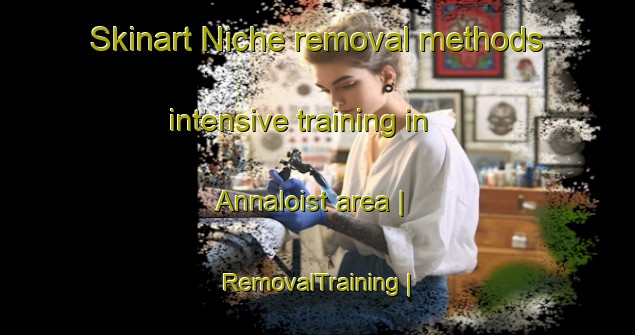 Skinart Niche removal methods intensive training in Annaloist area | RemovalTraining | RemovalClasses | SkinartTraining-United Kingdom